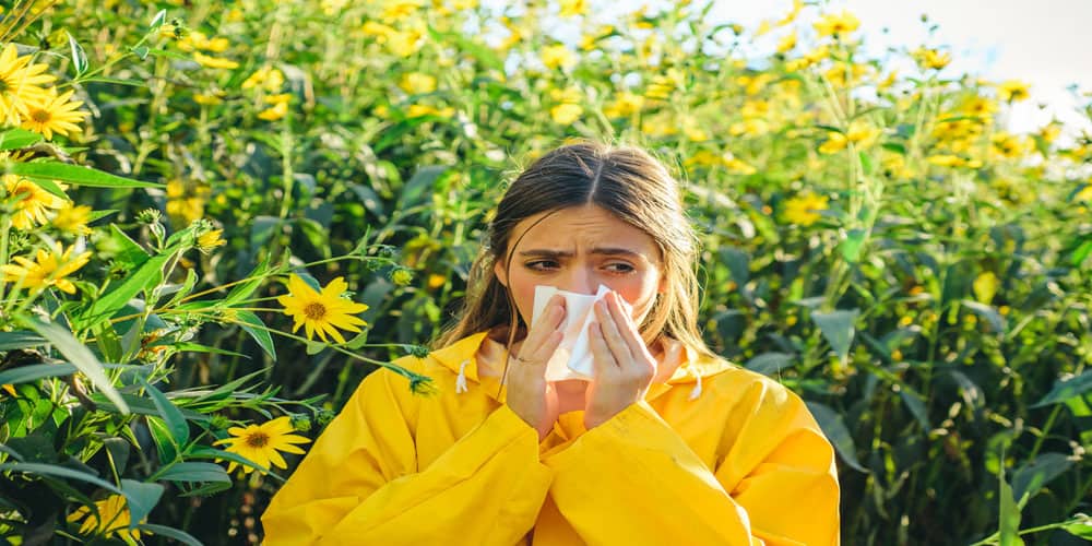 Pollen Levels