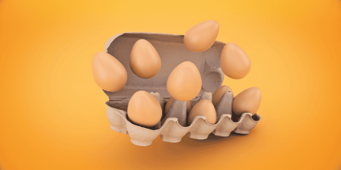 Salmonella Cases